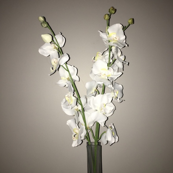 White Orchid Stems in Tall Twisted Glass Vase - Picture 2 of 3